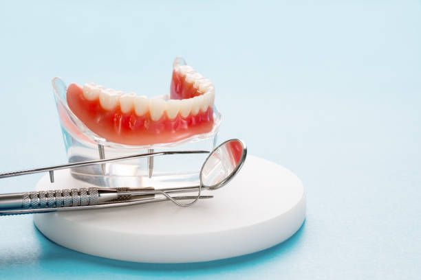 Best Preventive Dentistry  in Madison, FL